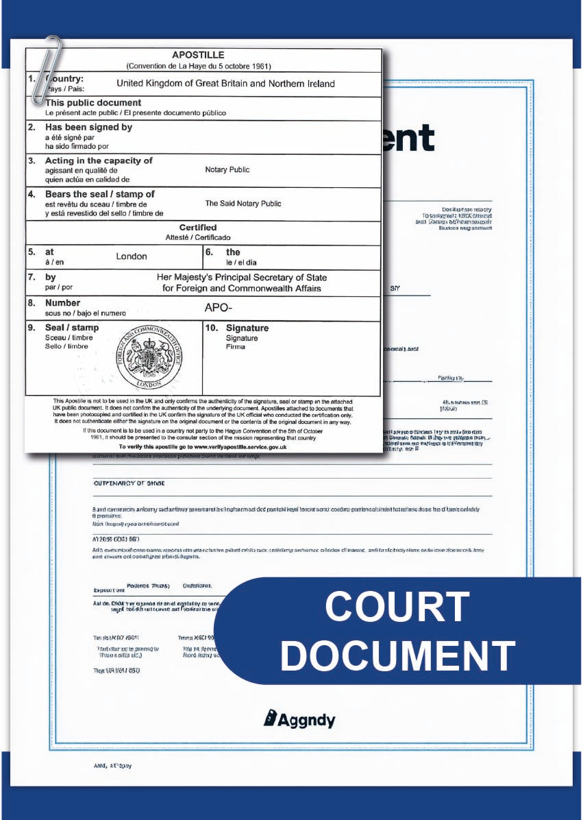 Court document