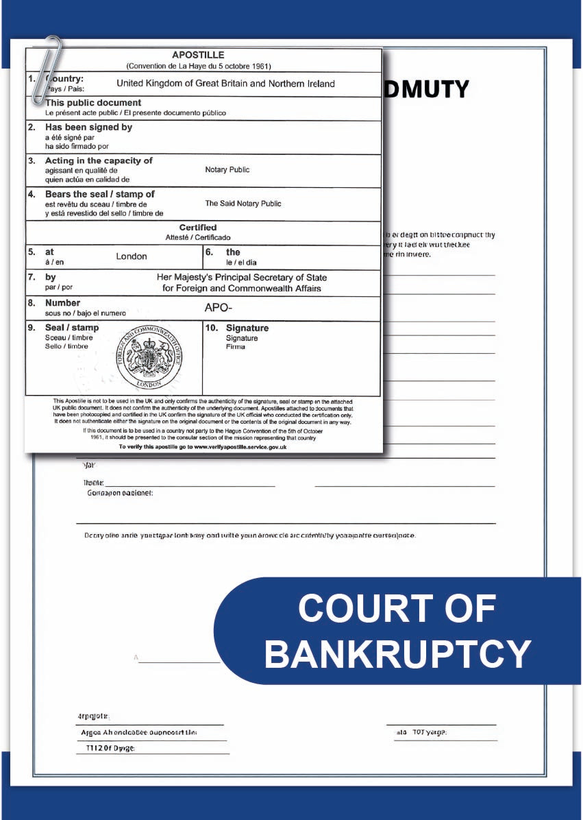 Court of Bankruptcy document