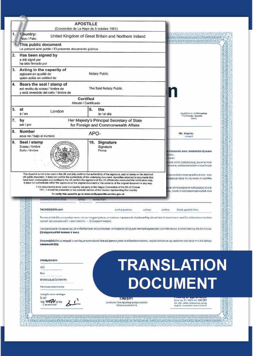 Translated Document